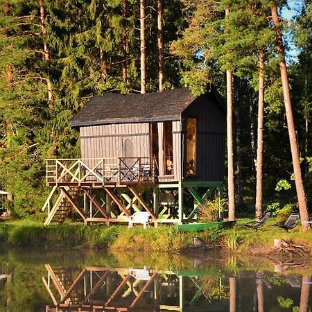 Dragon House In The Tree! Jacuzzi, Sauna ,Cinema,Heated Lici  Екстериор снимка