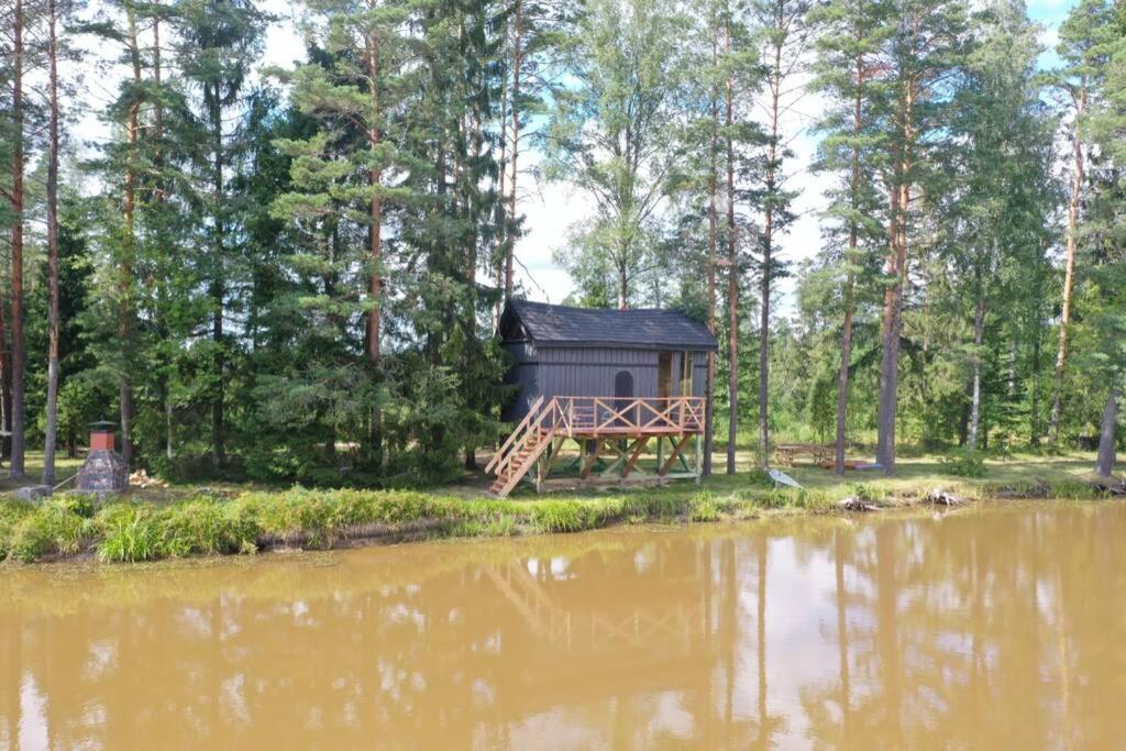 Dragon House In The Tree! Jacuzzi, Sauna ,Cinema,Heated Lici  Екстериор снимка