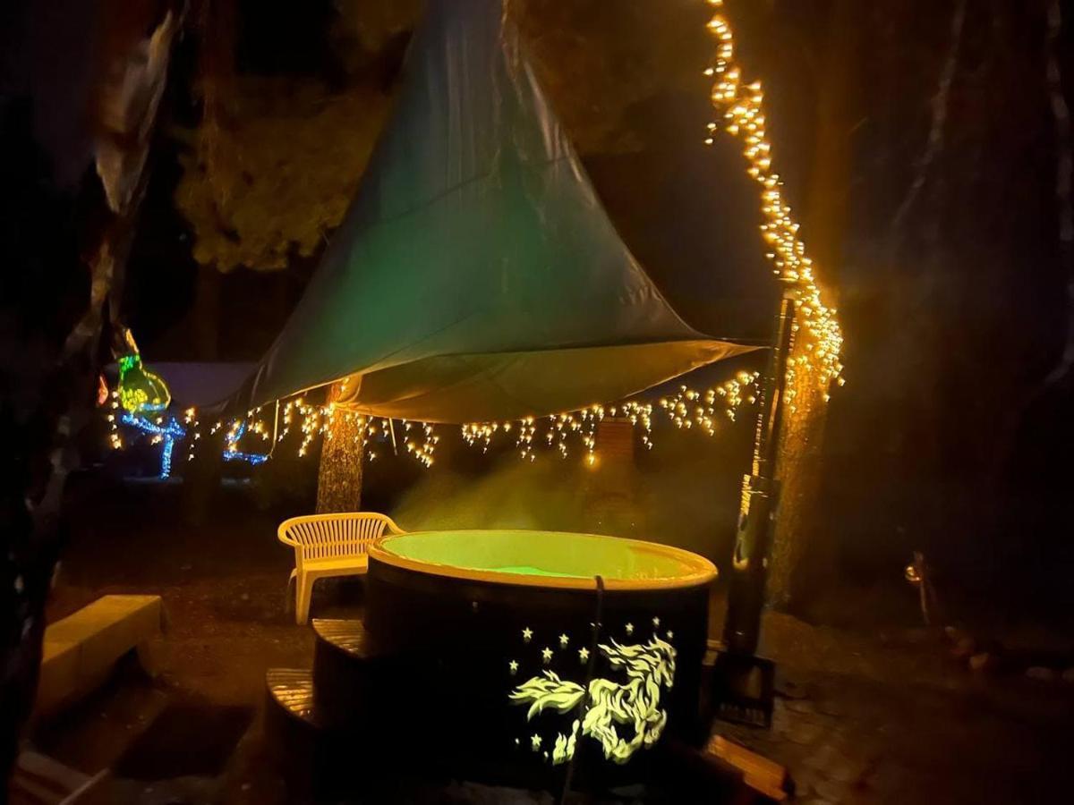 Dragon House In The Tree! Jacuzzi, Sauna ,Cinema,Heated Lici  Екстериор снимка